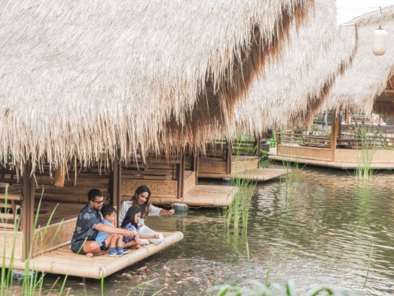 水上發呆亭+一杯椰子汁